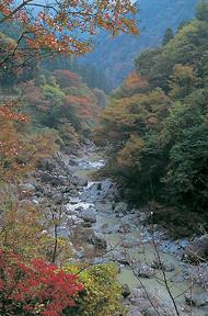 三波石峡の写真