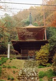 紅葉の中の金鑚神社多宝塔（国指定重要文化財）の写真