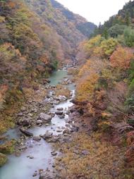 紅葉の三波石峡(国指定名勝及び天然記念物)の写真