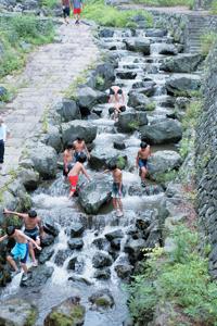 鳥羽川河川公園の写真