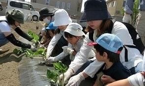 こども農園5月29日の農園