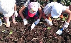 こども農園9月17日の農園