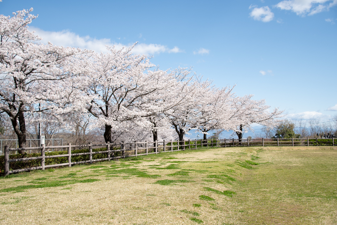 新宿ふれあい公園