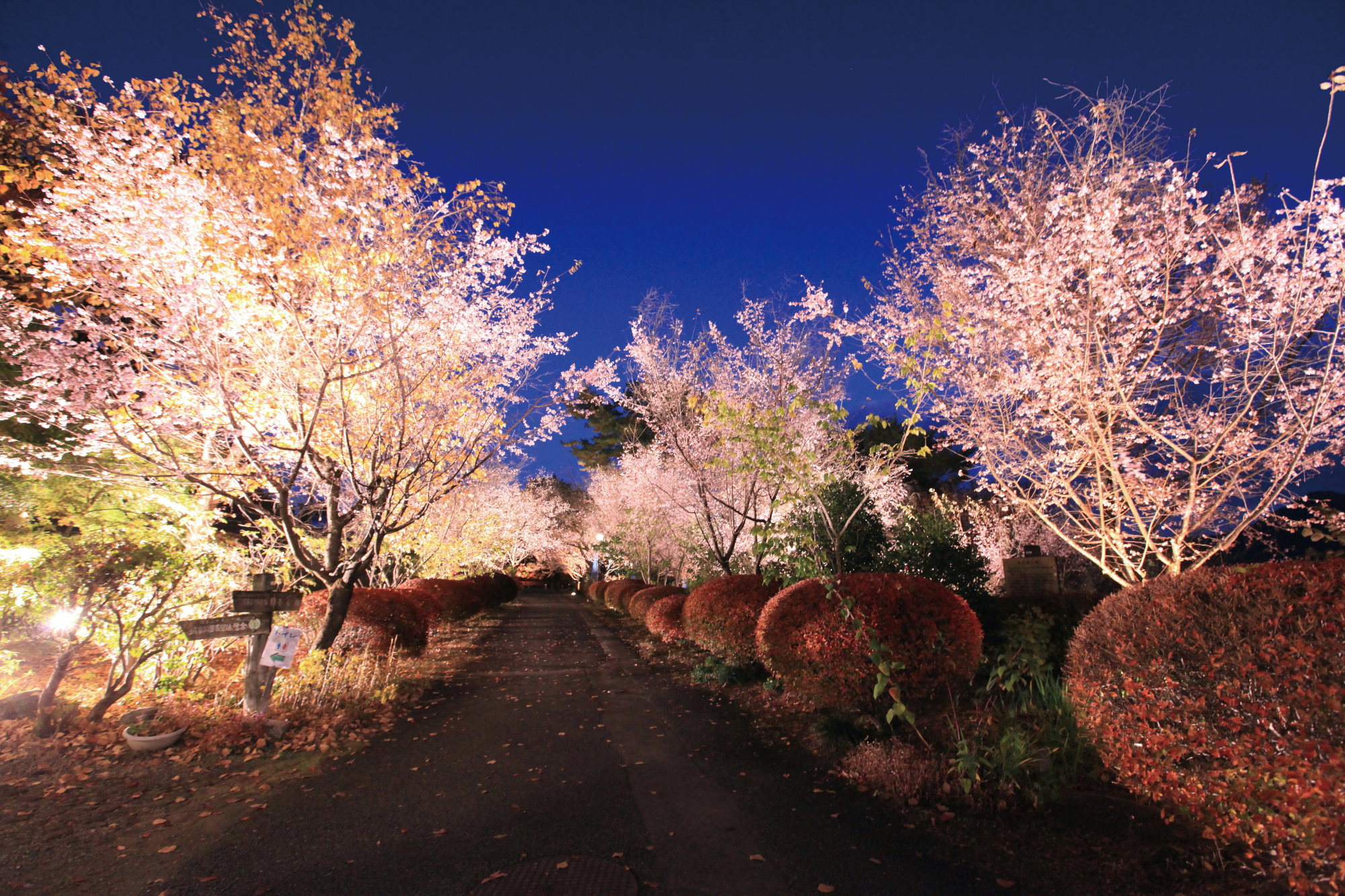 城峯公園
