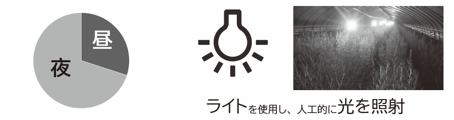 秋冬