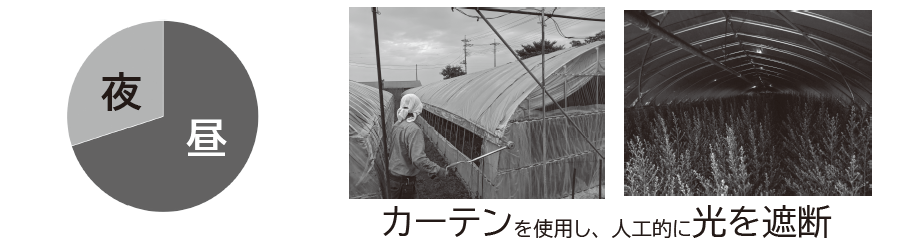 春夏