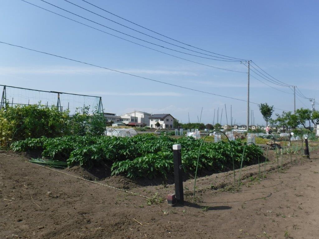 ふれあい農園