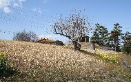 中新里諏訪山古墳の画像
