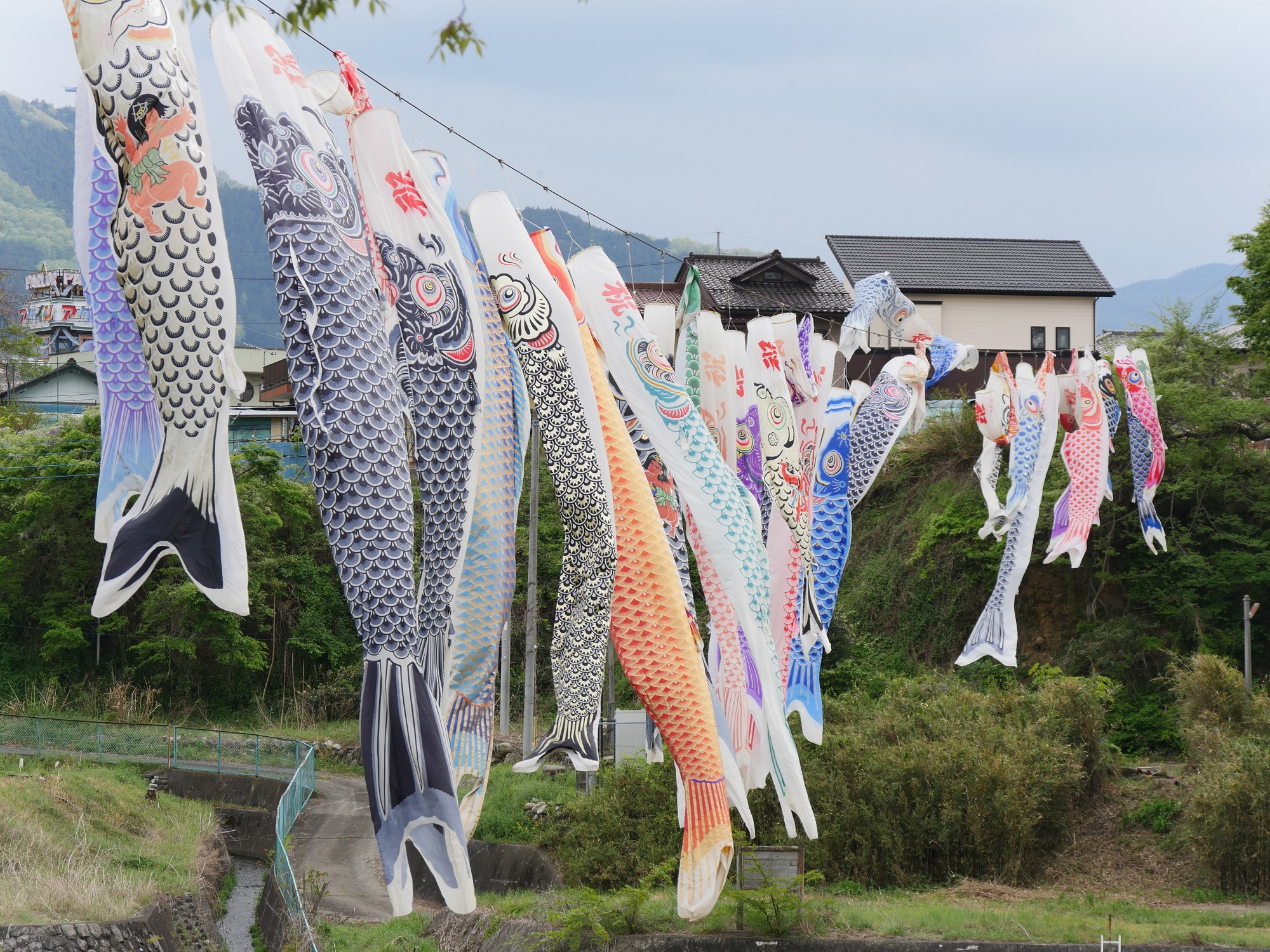 水辺公園の鯉のぼり