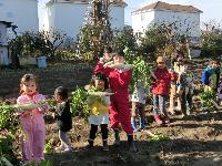 こども農園12月16日の農園