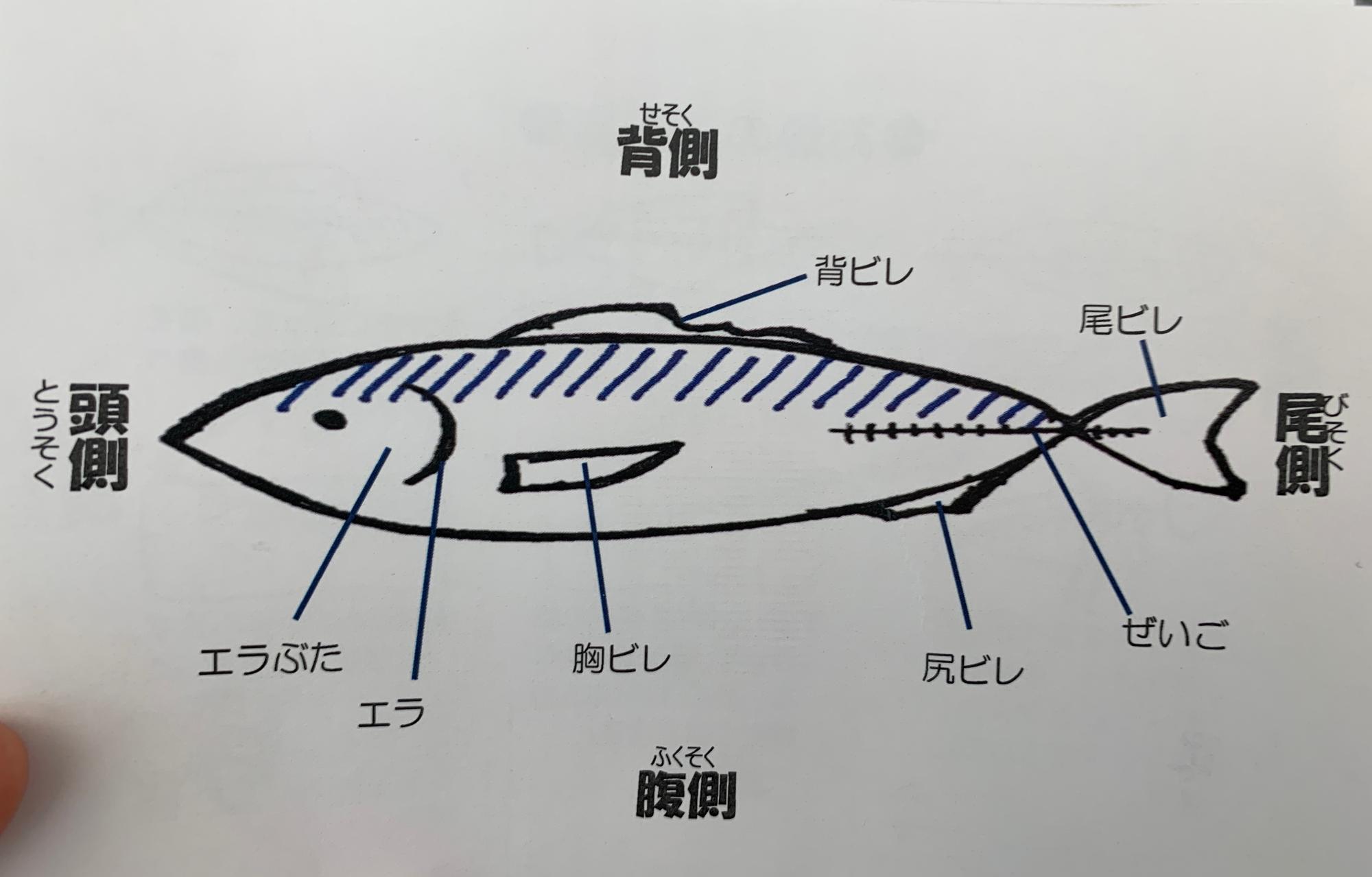 おさかなの食べ方